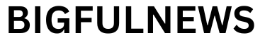 bigfulnews