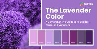lavender colour